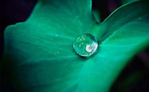 廣東小吃荷葉飯的做法