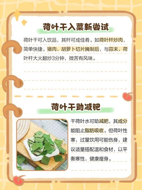 干荷葉減肥可以和什么搭配