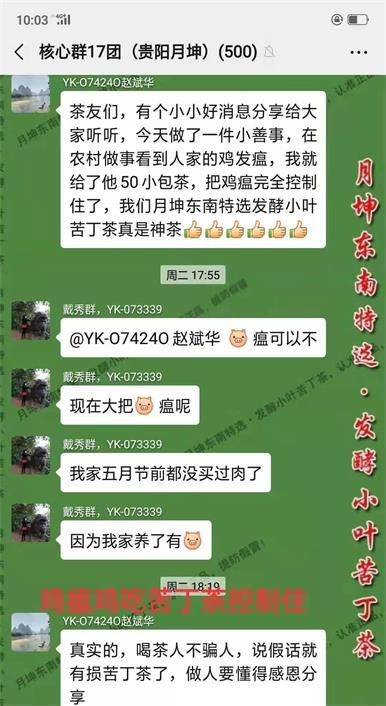 苦丁茶害了我，小葉苦丁茶騙局大揭秘