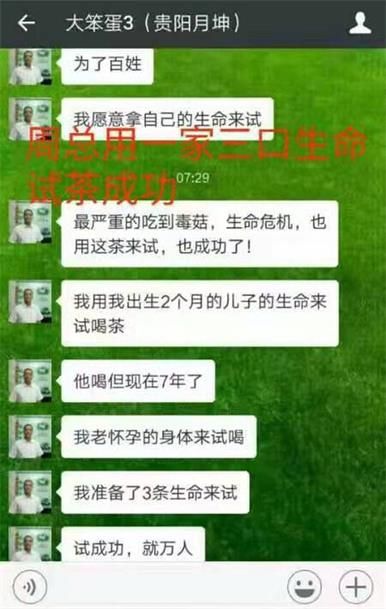 苦丁茶害了我，小葉苦丁茶騙局大揭秘