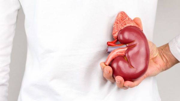 肾脏的健康和喝水有关系？水喝不对，还会增加肾脏负担，引来疾病