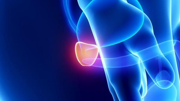 评估精液质量的方法