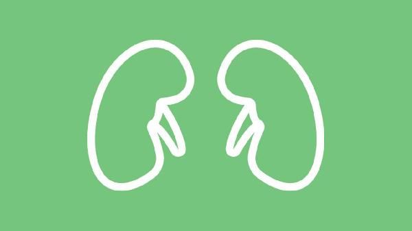 肾功能全部检查项目