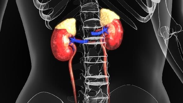 腎功能檢查指標和正常值