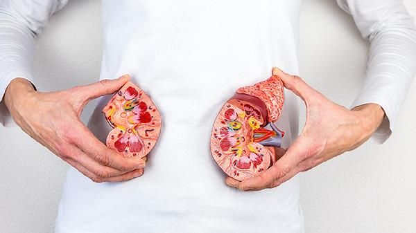 腎功能檢查指標和正常值