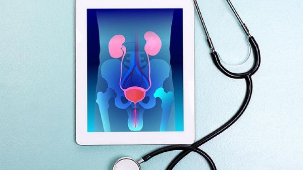 肾功能检查哪些项目