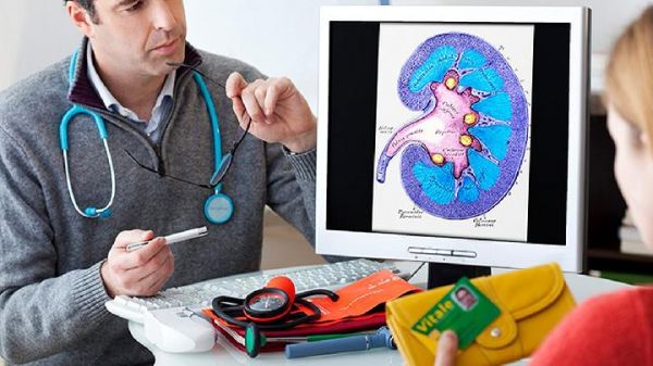 肾功能检查哪些项目