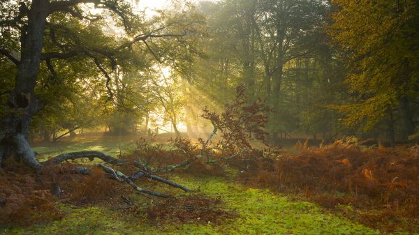 陽(yáng)氣精血虧虛 吃什么好