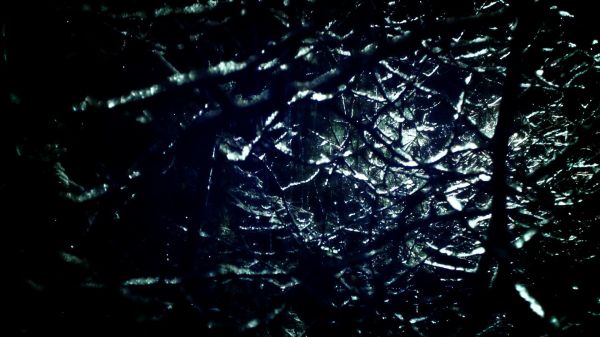 陽(yáng)氣精血虧虛 吃什么好