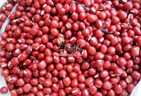 兩款紅豆排毒瘦身食譜讓你瘦不停