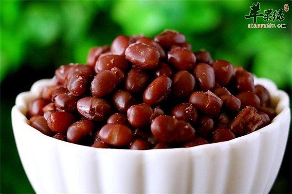红豆1.jpg