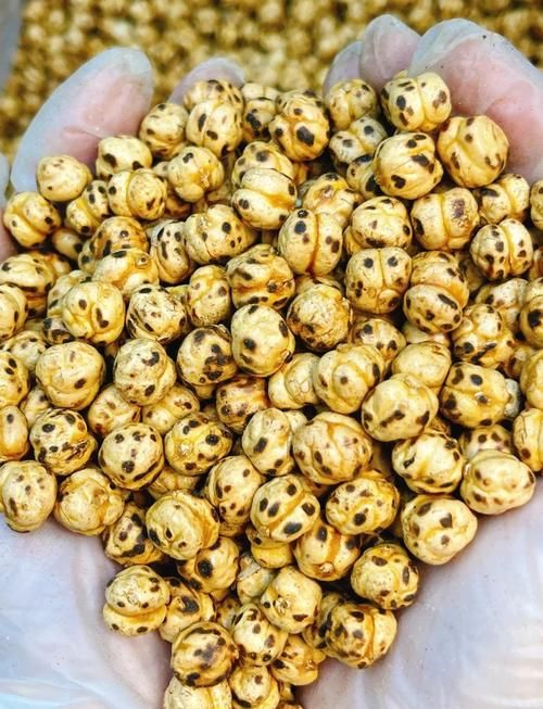 吃什么豆類可以減肥