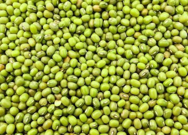 吃什么豆類可以減肥