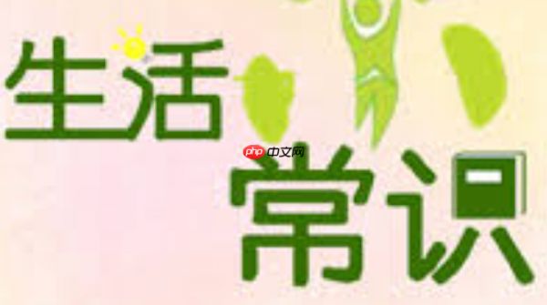 减肥期间早餐能吃鸡胸肉吗 减肥高蛋白健康早餐