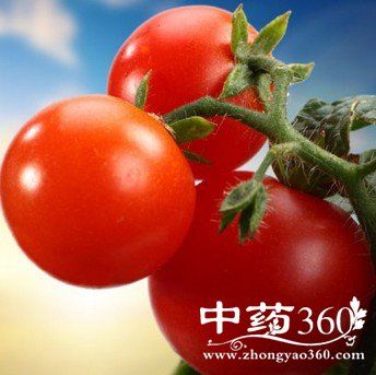 晚餐吃西紅柿減肥更有效,西紅柿減肥食譜