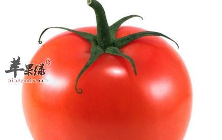 西紅柿