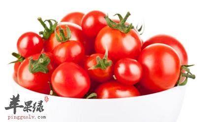 西紅柿