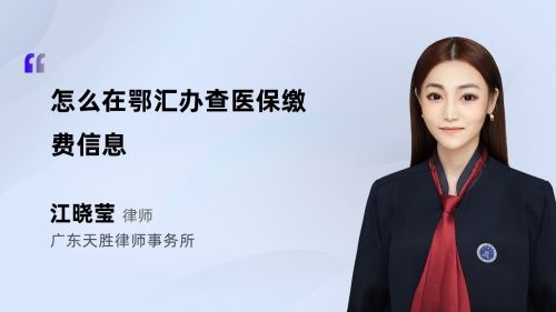 怎么在鄂匯辦查醫(yī)保繳費(fèi)信息