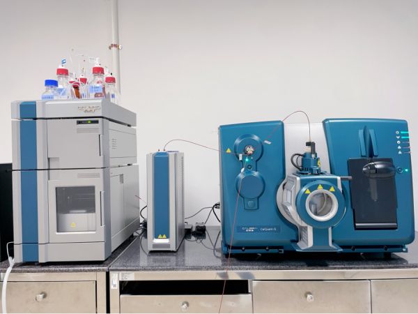 【科普】維生素 D 到底要不要補？