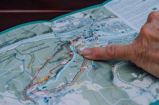 揭秘蜂蜜加白醋的減肥神話，科學(xué)驗(yàn)證與實(shí)用指南