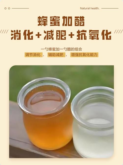 蜂蜜配什么醋減肥效果最好