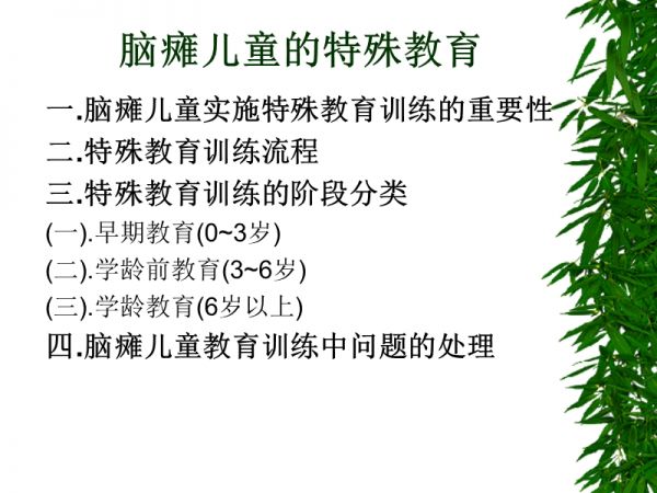 腦癱患兒的特殊教育.ppt_第2頁