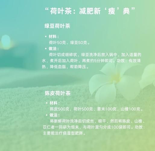 荷叶加点什么减肥最好