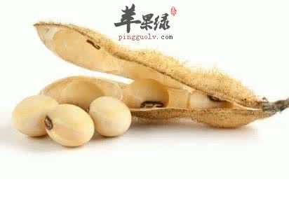 吃这些能减少脂肪 帮你迅速减肥