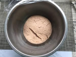 高粱窝头（无糖版）的做法 步骤2