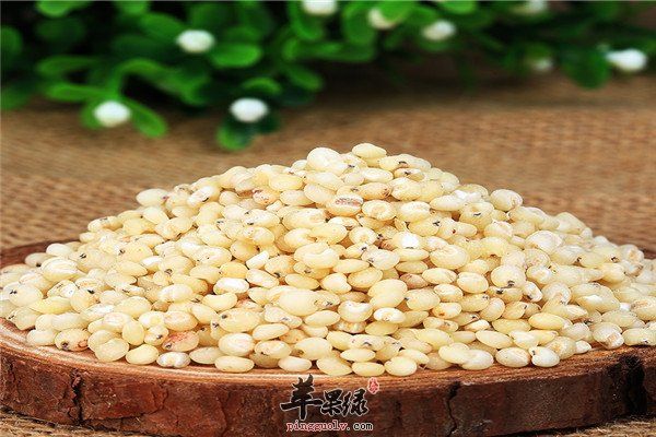 高粱米1.jpg
