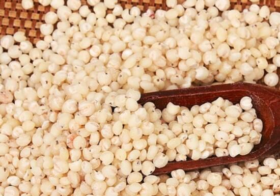 高粱米的功效和作用