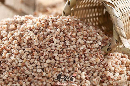 六個(gè)高粱米的食療選方介紹