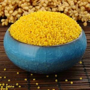 養(yǎng)胃飽腹的燕麥小米粥的做法 步驟1