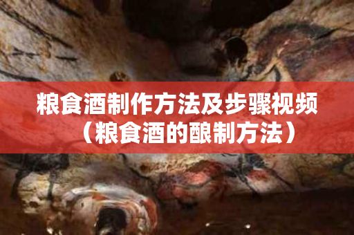 糧食酒制作方法及步驟視頻（糧食酒的釀制方法）