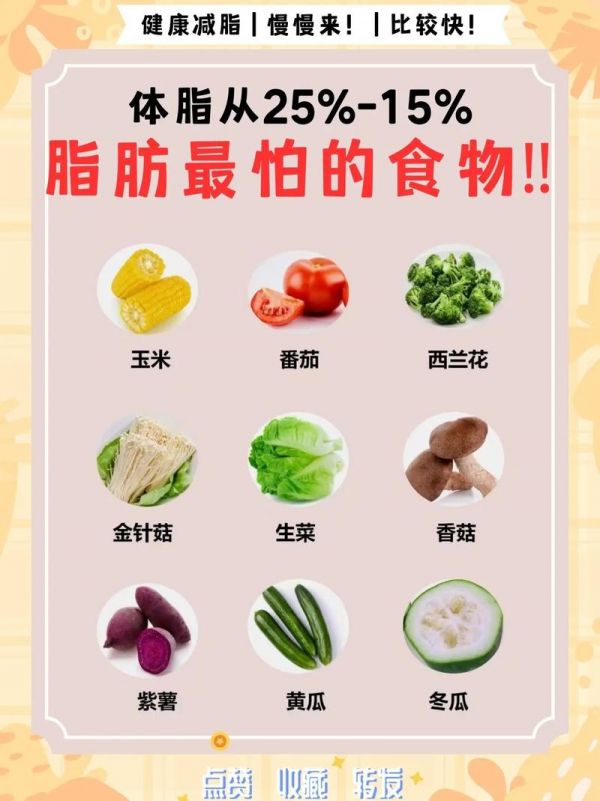 减肥吃什么脂肪类