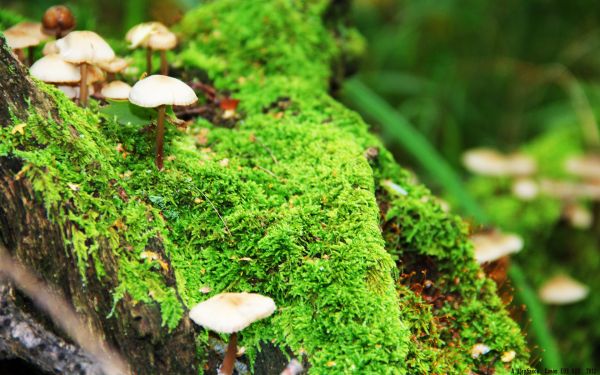 腰膝酸軟吃什么藥 該如何預(yù)防