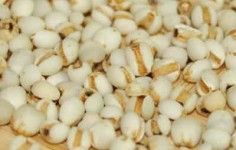  一周薏米減肥瘦身食譜，狂甩贅肉快速瘦出曲線 