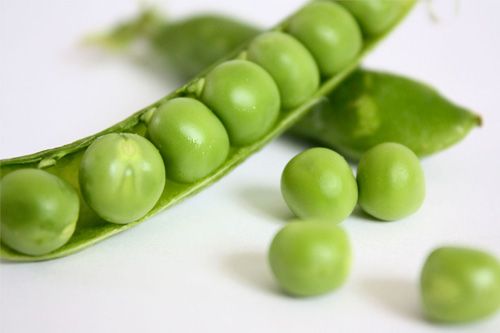  豌豆蛋白 中含有豐富的蛋白質