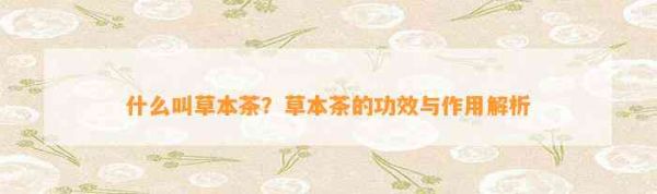 什么叫草本茶？草本茶的功效與作用解析