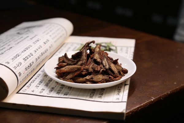 丹參的功效與作用全解析