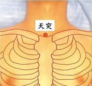 排毒減肥可以按揉哪些穴