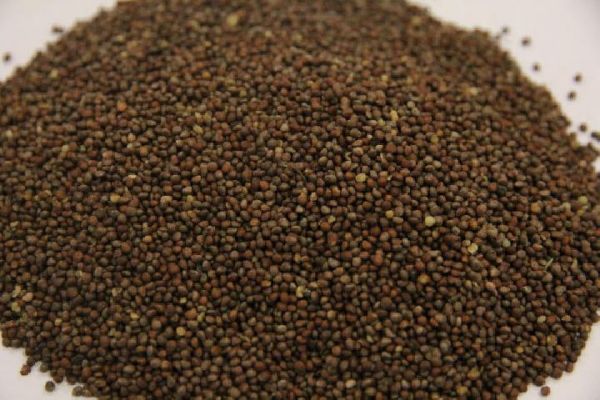 中醫(yī)推拿瘦身法真的有效嗎 中醫(yī)推拿瘦身法可以輕松讓你瘦身減肥