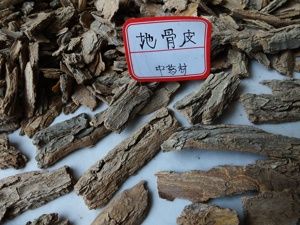 桑枝和什么治腳氣