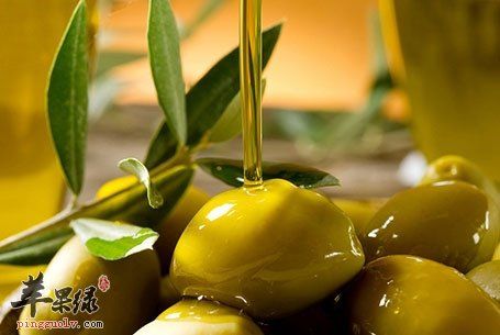 如何食用橄欖油最好 這樣吃更健康營養(yǎng)