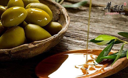 如何食用橄欖油最好 這樣吃更健康營養(yǎng)