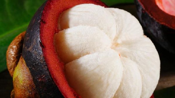 春季養(yǎng)生應(yīng)該做什么運(yùn)動(dòng) 春季養(yǎng)生最適合做6項(xiàng)運(yùn)動(dòng)