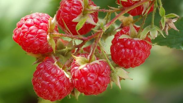 春季養(yǎng)生應(yīng)該做什么運(yùn)動(dòng) 春季養(yǎng)生最適合做6項(xiàng)運(yùn)動(dòng)