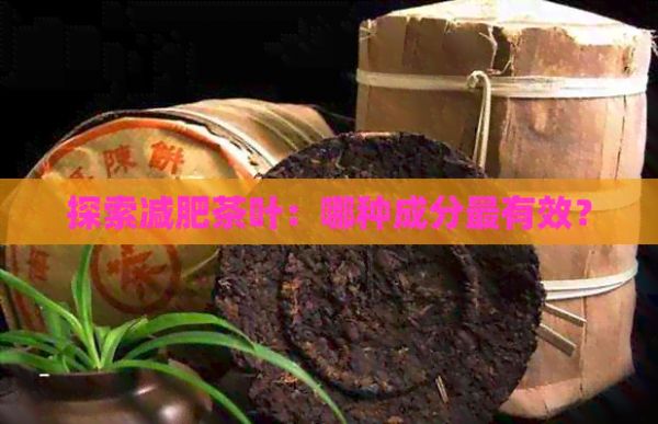 探索減肥茶葉:哪種成分最有效?