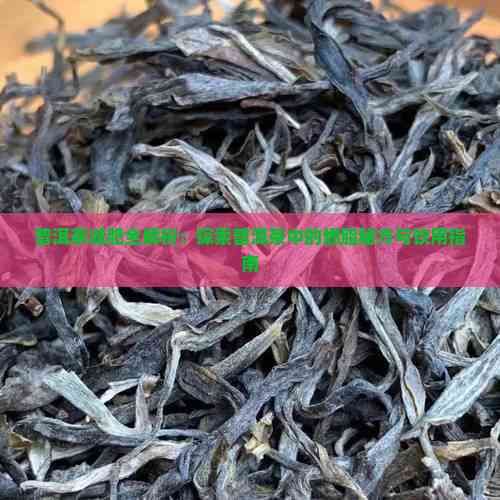 普洱茶减肥全解析：探索普洱茶中的燃脂秘方与饮用指南