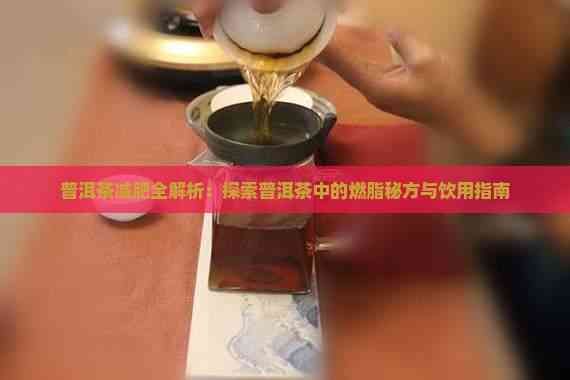 普洱茶减肥全解析：探索普洱茶中的燃脂秘方与饮用指南